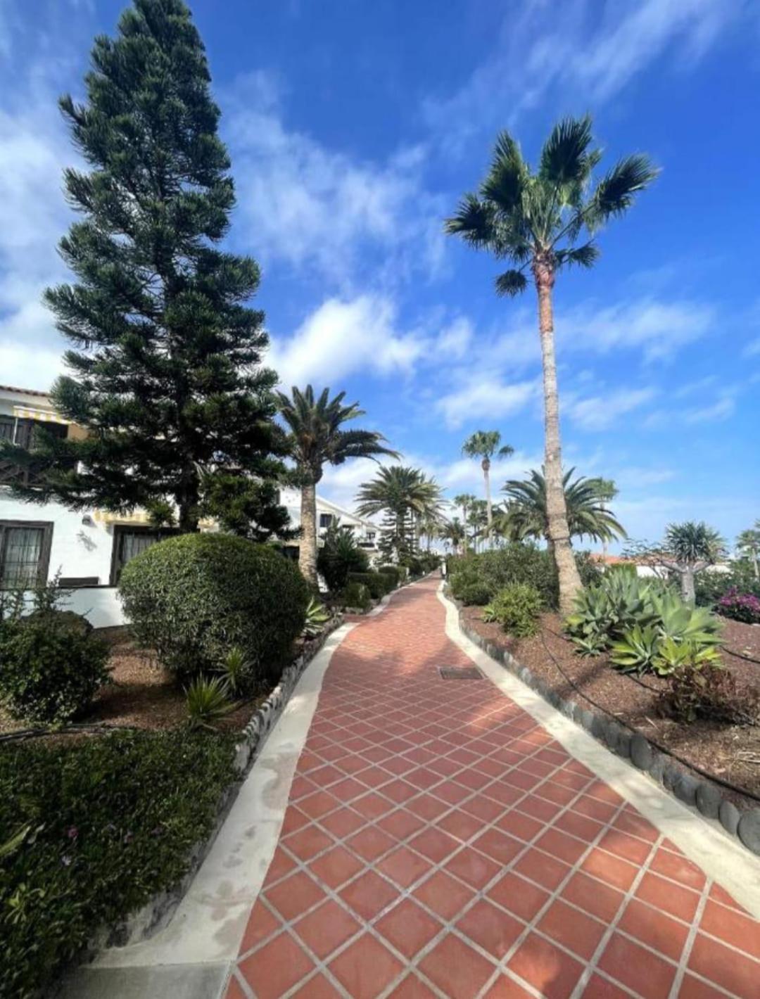 APARTMENT in Amarilla Golf 2 bedrooms San Miguel de Abona Esterno foto